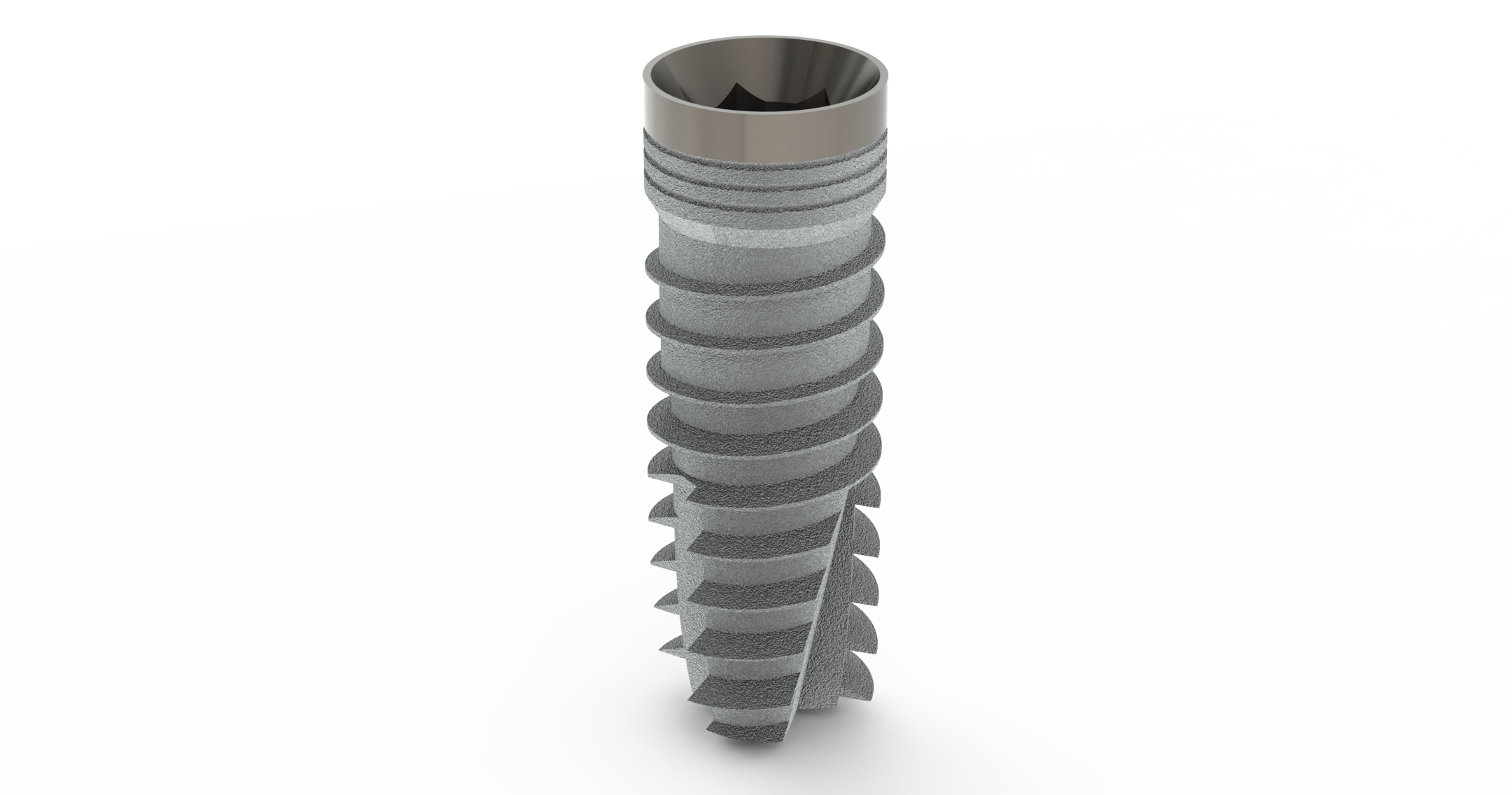 TL Implantat BONITex® P