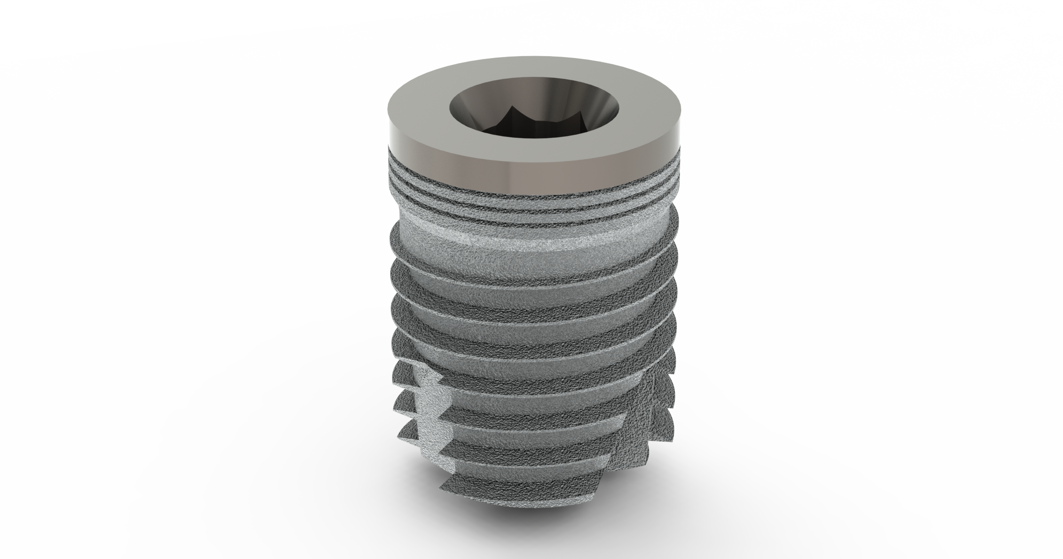 TL Implantat BONITex® P